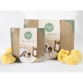 Babu by Bellini Sea Sponge Honeycomb