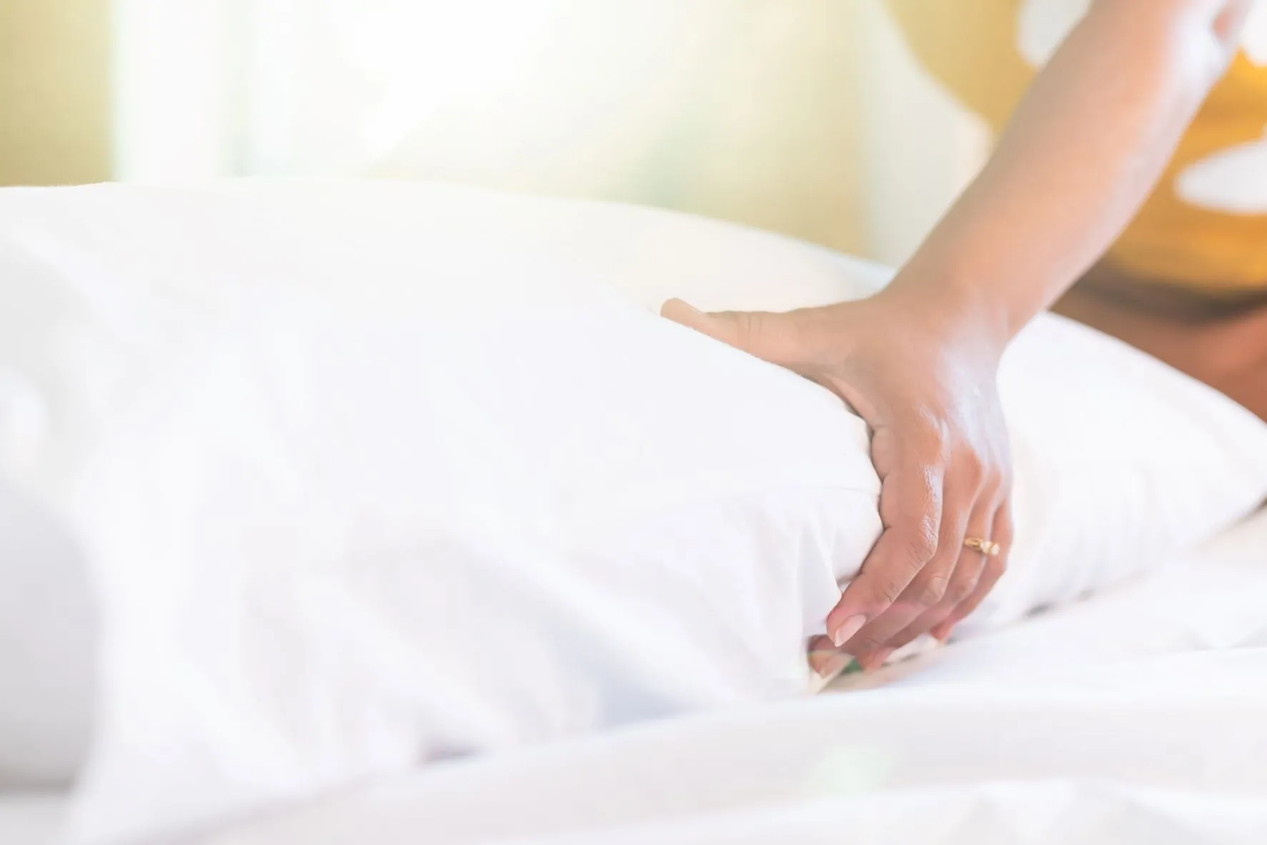Down Dreams ReNew Soft Pillow | Environmentally Friendly