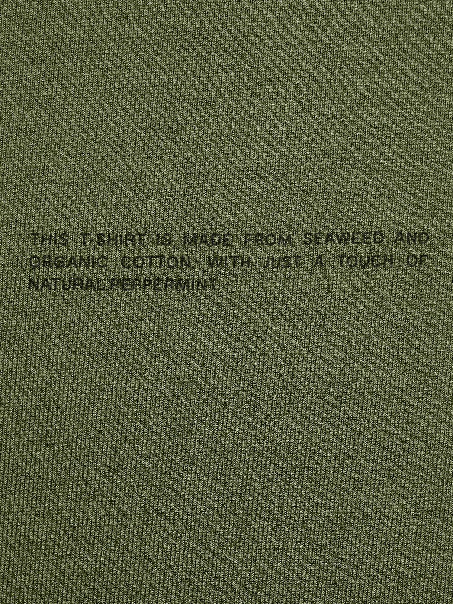Women's Organic Cotton and C-FIBER™ Wide Sleeve—rosemary green